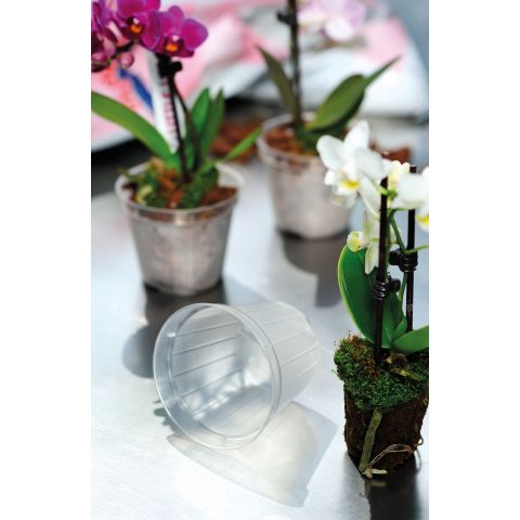 Orhideepott läbipaistev D12 cm, P12